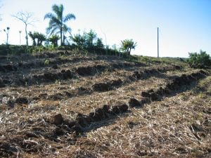 INTA recomienda medidas para proteger los suelos misioneros ante la llegada de El Niño