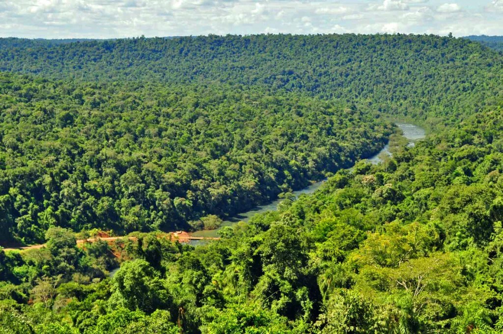 Misiones celebra el Día Provincial de las Áreas Naturales Protegidas con más de 500.000 hectáreas bajo protección