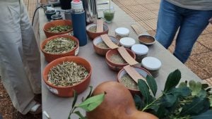 Una sommelier de yerba mate enseñó a descubrir los secretos…