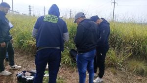Posadas: secuestraron más de medio kilo de marihuana valuada en casi tres millones de pesos