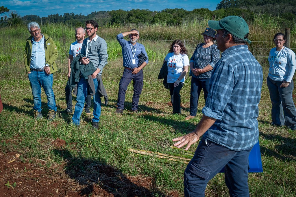 Talleres en cuatro localidades de Misiones capacitan a productores en…