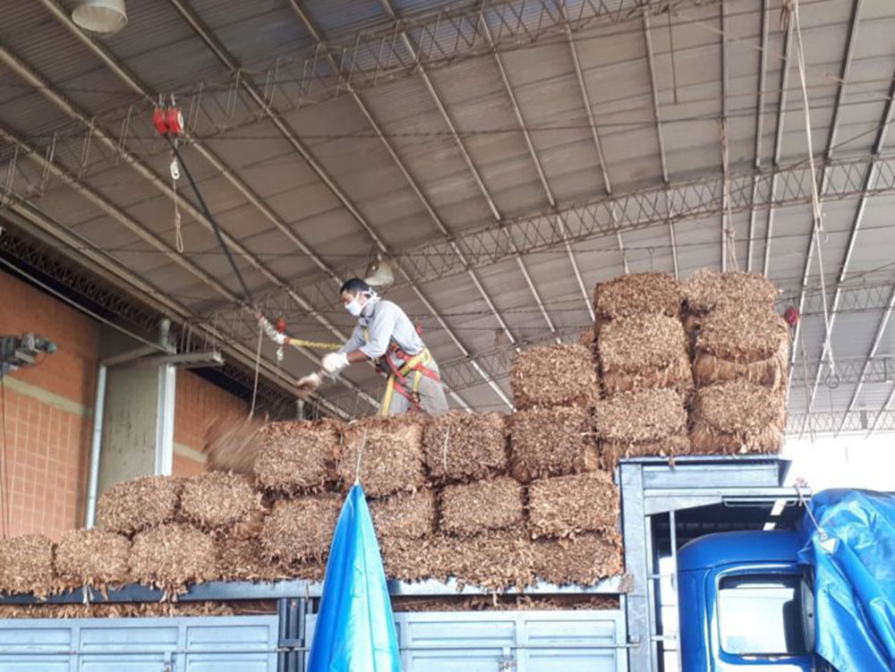 1 de junio: se celebra el Día del Trabajador Tabacalero