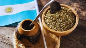 Investigadores avanzan en estudios sobre la yerba mate y su potencial efecto protector frente al…