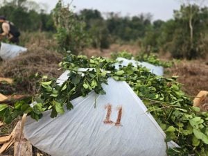Un exsecretario de Agricultura propone repensar el INYM y apostar a la competitividad en lugar de la regulación de precios