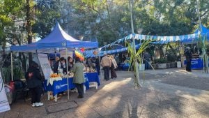 La Dulzura de Mi Tierra reunió a productores de miel,…