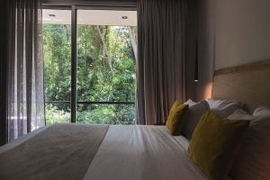 Selvaje Lodge Iguazú: un refugio boutique en la selva misionera para viajeros que buscan naturaleza…