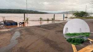 El intendente de Porto Mauá impulsa el puente con Alba Posse: «Es la mejor salida…