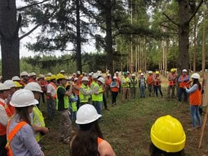 Posadas acogerá en agosto un seminario forestal con presencia internacional&hellip;