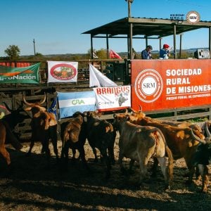 La Expo Rural de Misiones vuelve a Fachinal del 7&hellip;