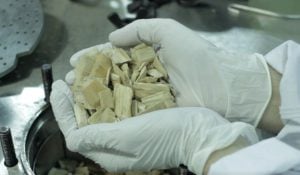 Veinte años de investigación en biorrefinerías: qué desarrollaron los científicos…