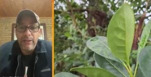 Productor yerbatero de Andresito: «Hay productores desesperados vendiendo sus chacras&hellip;