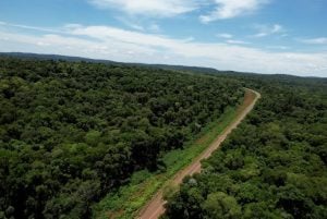 Misiones lanza jornadas informativas sobre créditos de carbono para titulares de bosque nativo