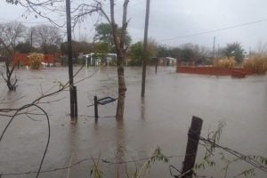 Corrientes evalúa los daños tras el temporal del fin de…