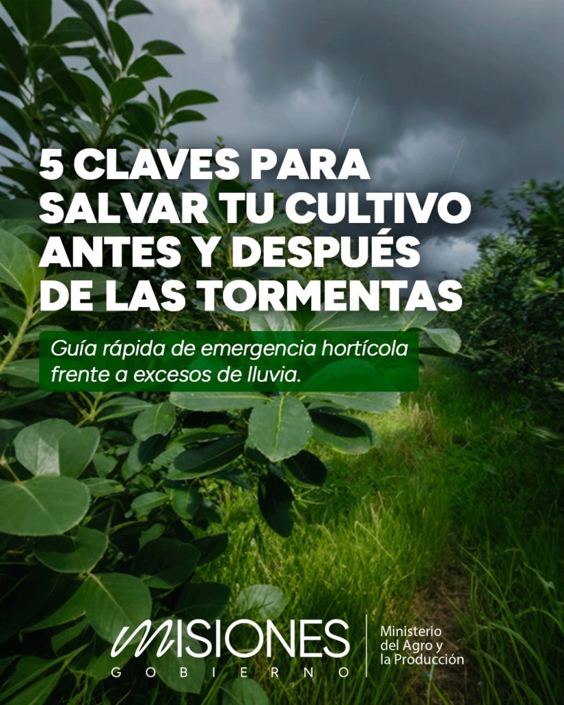 El Agro de Misiones pide a productores que preparen sus…