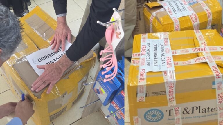Defensa del Consumidor inmovilizó cerca de 4.000 juguetes Squeezy en dos comercios de Posadas