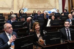 El Senado postergó hasta agosto el debate sobre la ley…