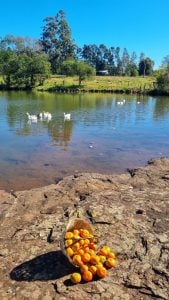 Una escapada de dos días por el centro de Misiones: Salto Encantado y Chacra del&hellip;