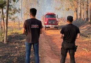 Un incendio destruyó un aserradero y dañó otros dos en San Vicente