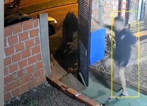 Denunciaron penalmente a un hombre por golpear a dos perros en Posadas