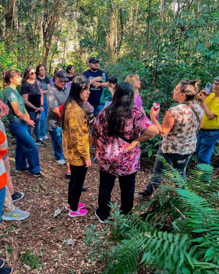 Invierno en la Selva: Misiones presenta su propuesta turística para la temporada de vacaciones