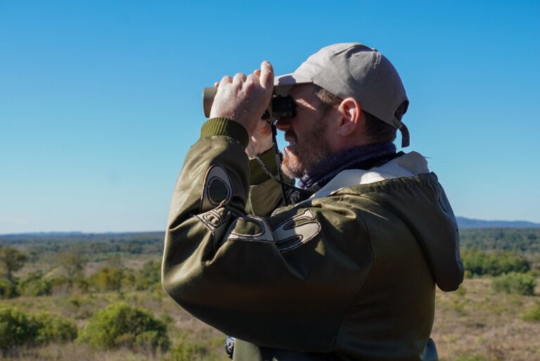 Misiones avanza en el turismo de naturaleza con más de 550 especies de aves y…
