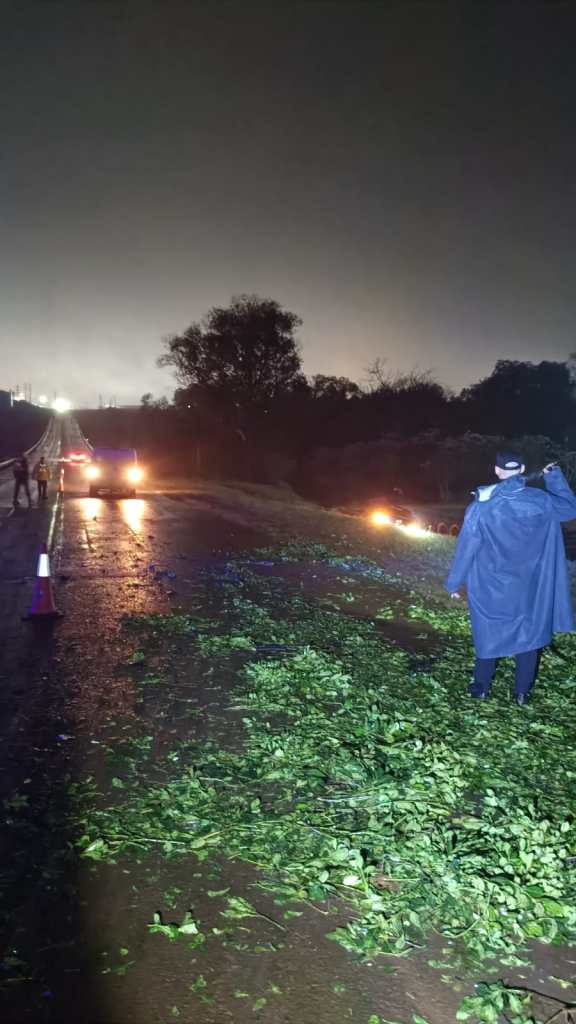 Cuatro heridos al despistarse un auto tras chocar contra un raído de yerba en la…