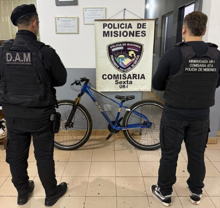 Robó dos bicicletas de un comercio en Posadas, atacó a piedrazos a la Policía y…