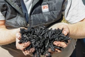 Palitos de yerba mate como biocarbón: una investigación del INTA&hellip;