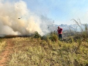 Alerta en Misiones: advierten índice alto de peligro de incendios y piden no realizar quemas