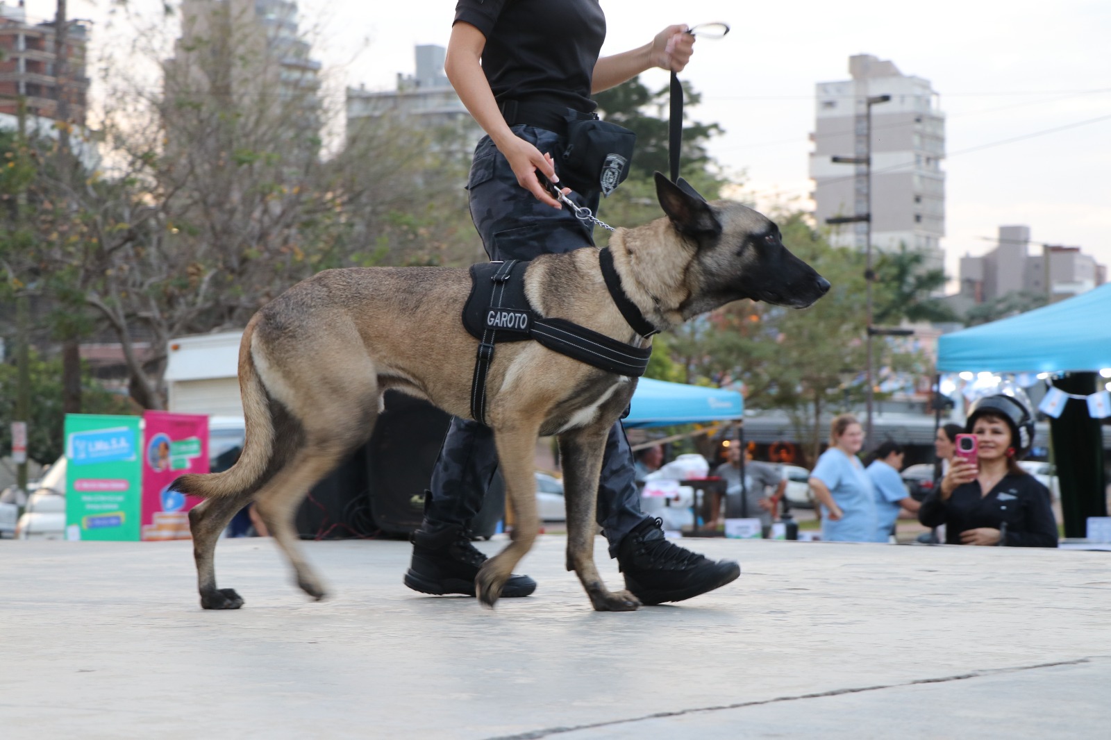 Posadas celebró el Día del Amigo Incondicional con vacunación gratuita y desfile de mascotas en la Costanera