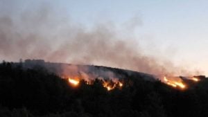 Incendios forestales arrasan más de 17.000 hectáreas en el sur&hellip;