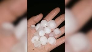 Granizo y tormenta eléctrica golpearon la ruta provincial 15 en San Pedro