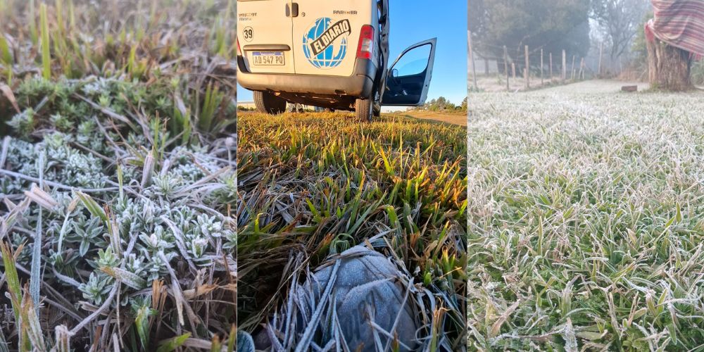 Invierno con más heladas pero menos extremo que el año…