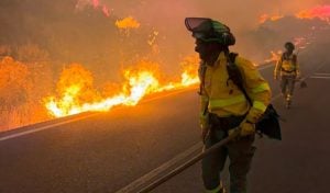 Incendio forestal en Almería: al menos 12 muertos, 23 desaparecidos…
