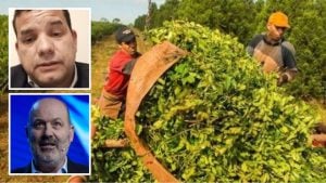 Productores yerbateros denuncian pérdidas millonarias tras reunirse con Sturzenegger y&hellip;