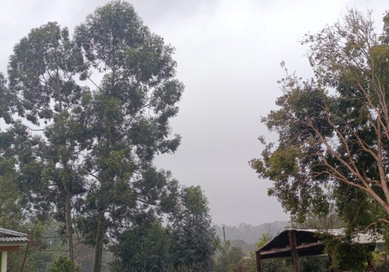 Misiones arranca agosto con calor de primavera y tormentas a la vista