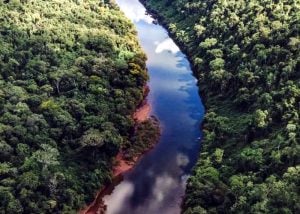 Alertan que flexibilizar la compra de tierras por extranjeros sería un daño irreversible para Misiones