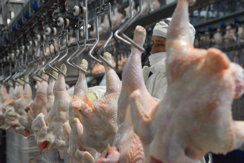 El pollo superó a la carne vacuna y se convirtió…