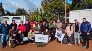 55 familias tabacaleras de Misiones arrancaron la producción de tomate bajo invernadero