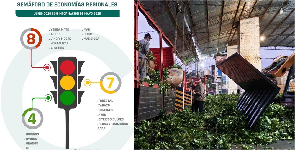 La yerba mate lleva 26 meses consecutivos en crisis según…