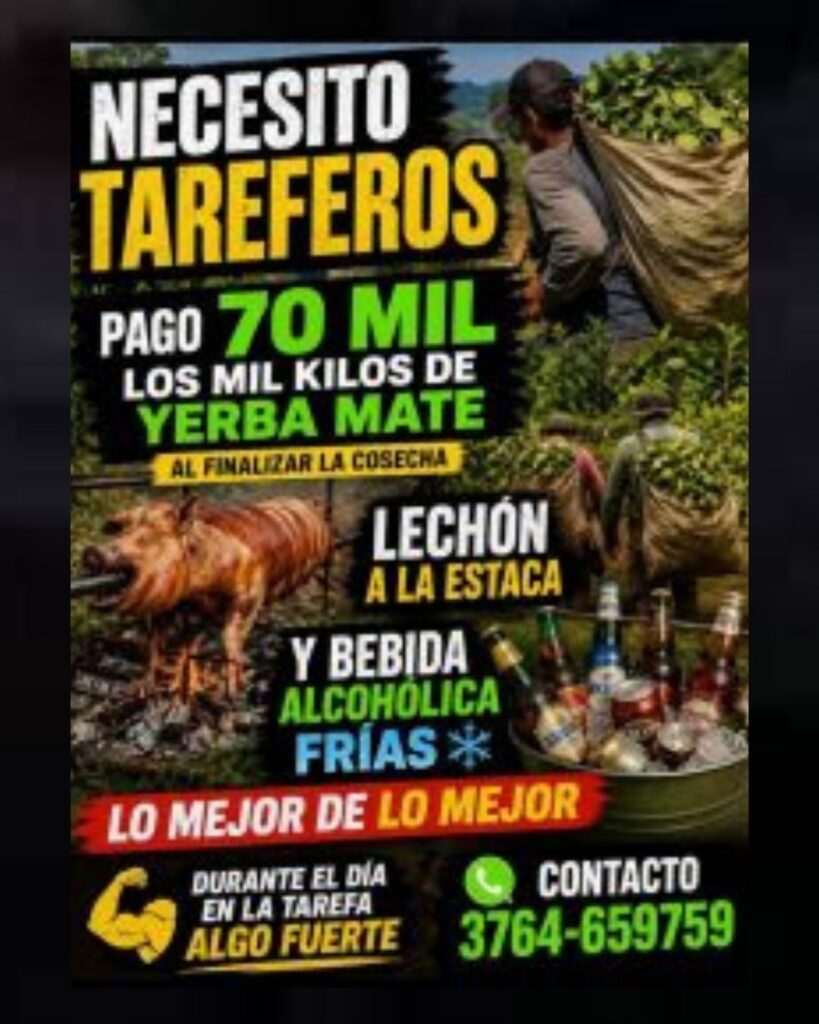 Un productor de Dos de Mayo ofrece $70.000 por tonelada…