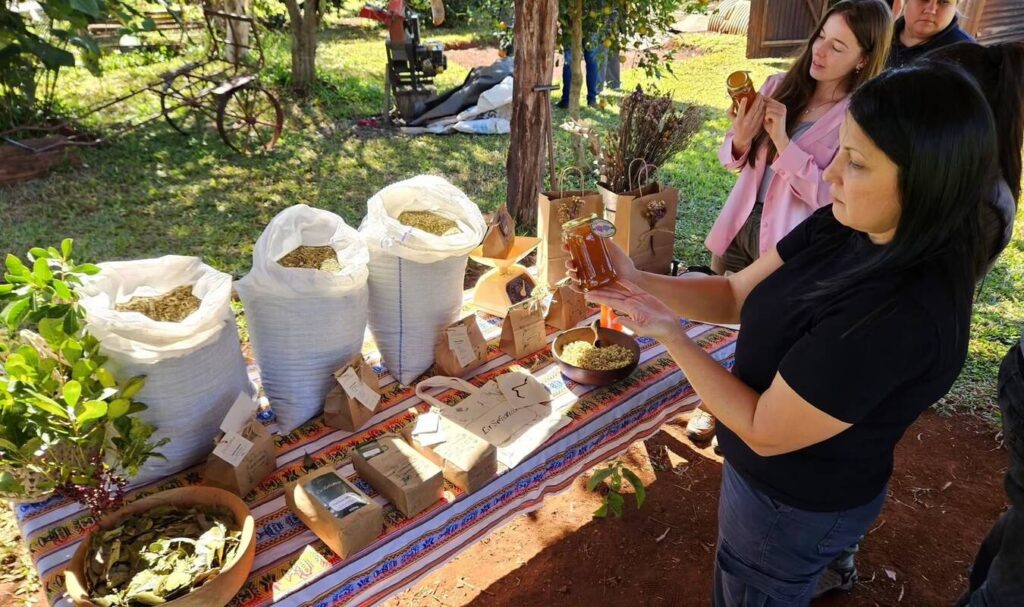 El IMAC recorrió Wanda y acompañó iniciativas agroecológicas y comunitarias…
