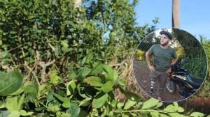 Un yerbatero de Dos de Mayo ofrece 70 mil pesos&hellip;