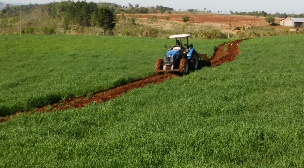 El precio del té sigue sin resolverse: productores e industria…
