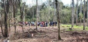 Un propietario de San Ignacio denunció que EMIPA y ENDEPA organizan usurpaciones de tierras en…