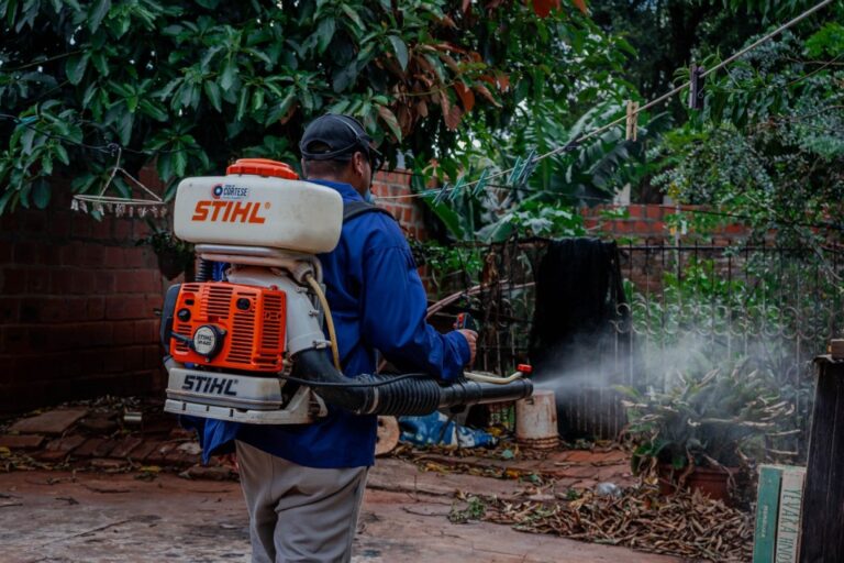 Posadas activa la prevención contra el Aedes aegypti ante el avance de El Niño