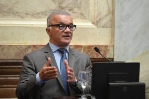 Senadores misioneros buscan incluir bosques cultivados en la producción de&hellip;
