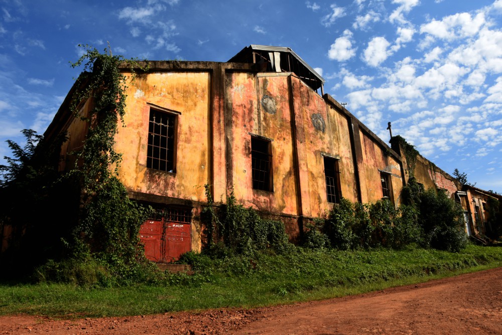 Un siglo de cooperativismo: Misiones conmemora 100 años de la primera cooperativa yerbatera