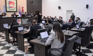 Posadas aprueba ordenanza para viajar en colectivo con mascotas: requisitos y condiciones