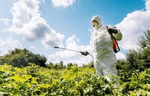 La Sociedad Rural Argentina respaldó la derogación de la prohibición del glifosato en Misiones